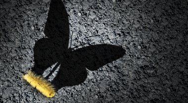 Business transformation and cultural change