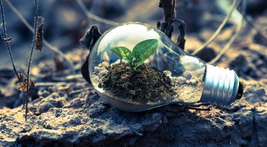 Five companies leading the way for social purpose