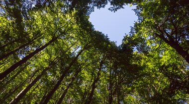 Board Evolution: The growing pressures of ESG and sustainability